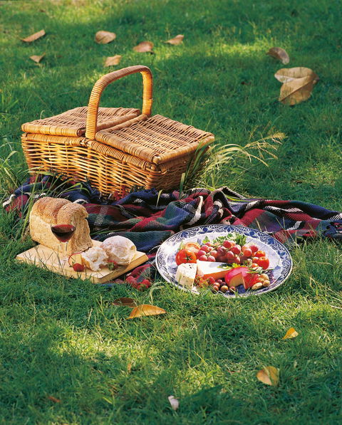 Nature And Foodies Trail - Restaurant Gold Coast 2