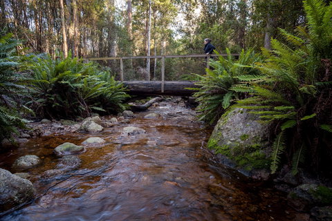 O'Neills Creek Picnic Reserve - Restaurant Gold Coast 0