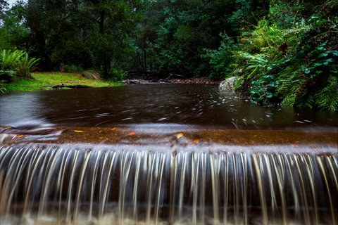 O'Neills Creek Picnic Reserve - Restaurant Gold Coast 1