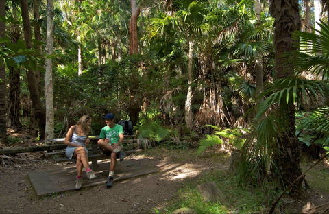 Palms Picnic Area - Restaurant Gold Coast 0