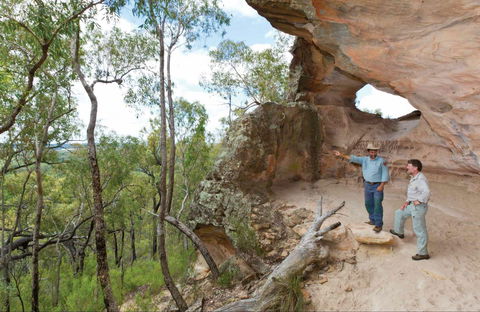 Pilliga National Park - Restaurant Gold Coast 0