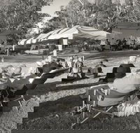 Pioneer Park - Restaurant Gold Coast