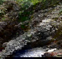 Potoroo Falls walk - Restaurant Gold Coast