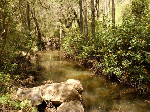 Sandy Creek Track - Restaurant Gold Coast 0