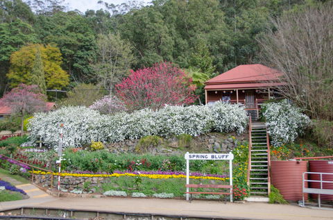 Spring Bluff Railway Station - Restaurant Gold Coast 1