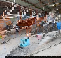The Equine Club - Restaurant Gold Coast