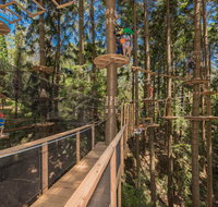 TreeTops Sydney The Hills - Restaurant Gold Coast