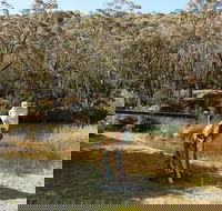 Wild Valley Art Park - Restaurant Gold Coast