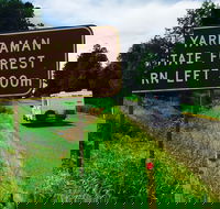Yarraman - Restaurant Gold Coast