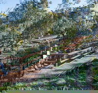 Falcon Falls walking track - Restaurant Gold Coast