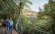 Blue Mountains Hop-on Hop-off Tour With Optional Scenic World Rides - thumb 1
