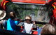 Blue Mountains Hop-on Hop-off Tour With Optional Scenic World Rides - thumb 7