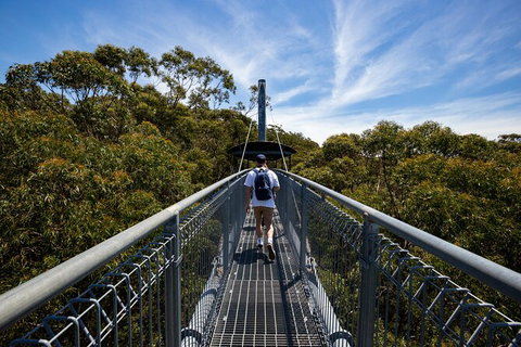Illawarra Fly Treetop Adventures Treetop Walk Admission Ticket - Restaurant Gold Coast 0