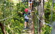 Illawarra Fly Treetop Adventures Treetop Walk Admission Ticket - thumb 3