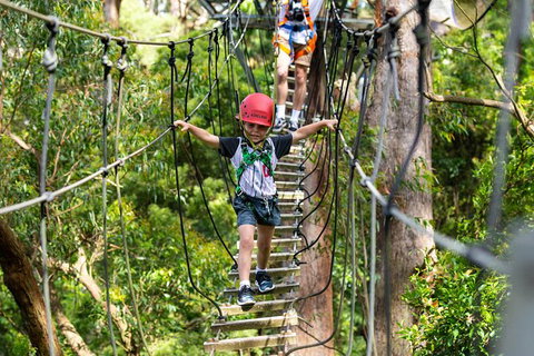 Illawarra Fly Treetop Adventures Treetop Walk Admission Ticket - Restaurant Gold Coast 3