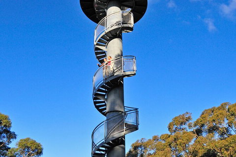 Illawarra Fly Treetop Adventures Treetop Walk Admission Ticket - Restaurant Gold Coast 5