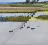 Beardy Waters Dam and Woodlands - Restaurant Gold Coast