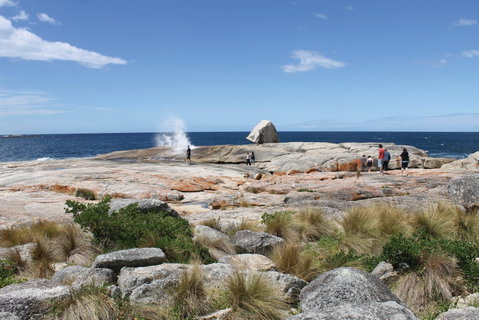 Bicheno Blowhole - Restaurant Gold Coast 1