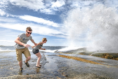 Bicheno Blowhole - Restaurant Gold Coast 2