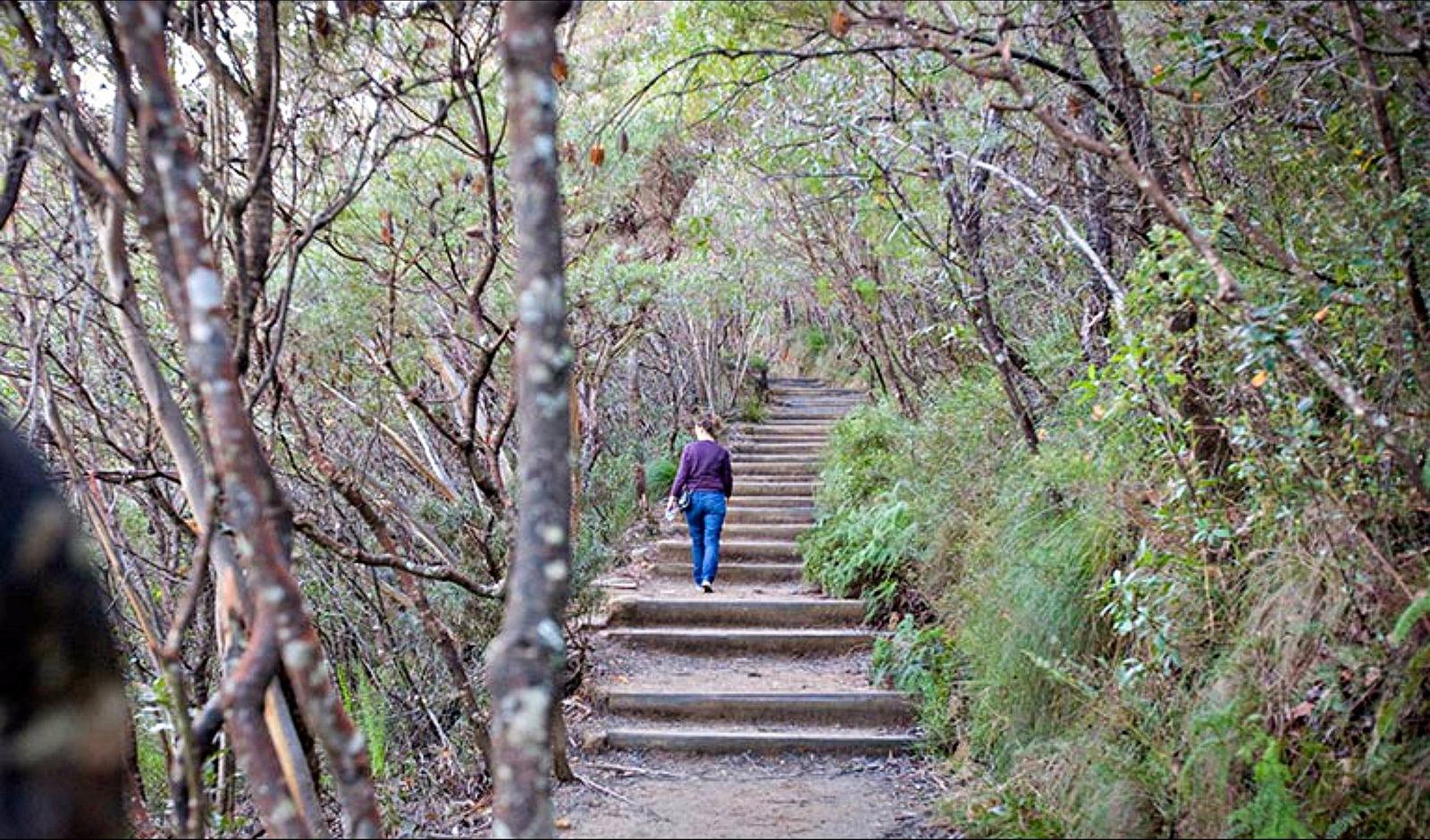 Wentworth Falls NSW Restaurant Gold Coast
