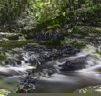 Protesters Falls Walking Track - Restaurant Gold Coast