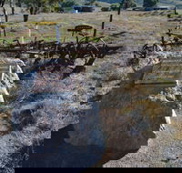 Wangaraleednie Monument  Ruins - Restaurant Gold Coast