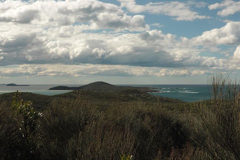 Big Rocky! Full Day Guided Walk - Restaurant Gold Coast 3