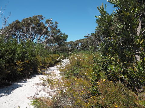Big Rocky! Full Day Guided Walk - Restaurant Gold Coast 8