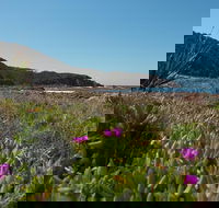 Big Rocky Full Day Guided Walk - Restaurant Gold Coast
