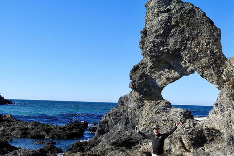 Narooma And Tilba Valley Private Tour - Restaurant Gold Coast 4