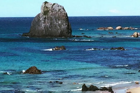 Narooma And Tilba Valley Private Tour - Restaurant Gold Coast 9