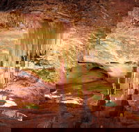 Jenolan Caves Ribbon Cave Tour - Restaurant Gold Coast