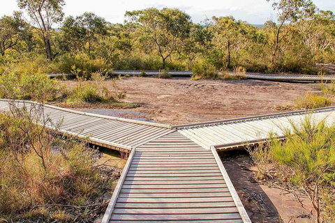 Kangaroo Encounter & Aboriginal Rock Arts Half-Day Trip From Sydney - Restaurant Gold Coast 1