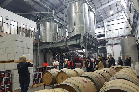 Hunter Valley Small Group Wine, Gin, Cheese & Chocolate Tour - Restaurant Gold Coast 6