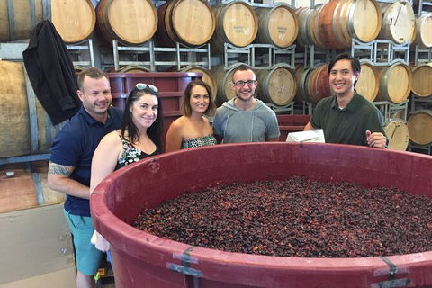 Hunter Valley Small Group Wine, Gin, Cheese & Chocolate Tour - Restaurant Gold Coast 0