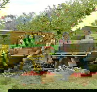 Blue Mountains Botanic Garden and Bilpin Tour from Katoomba with Cider Tasting - Restaurant Gold Coast