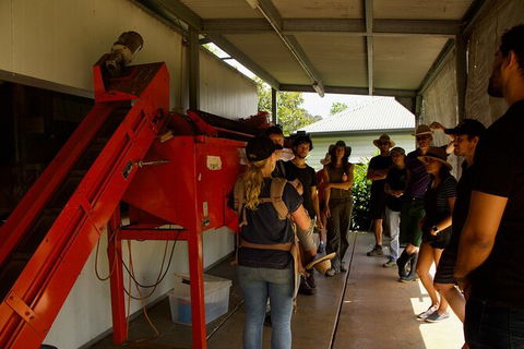 Pecan Farm Tour And Workshop, Byron Bay Hinterland - Restaurant Gold Coast 4