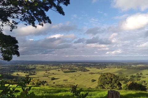 Pecan Farm Tour And Workshop, Byron Bay Hinterland - Restaurant Gold Coast 1