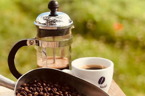 Coffee Farm Tour And Workshop, Byron Bay Hinterland - Restaurant Gold Coast 0