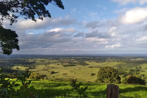 Coffee Farm Tour And Workshop, Byron Bay Hinterland - Restaurant Gold Coast 4