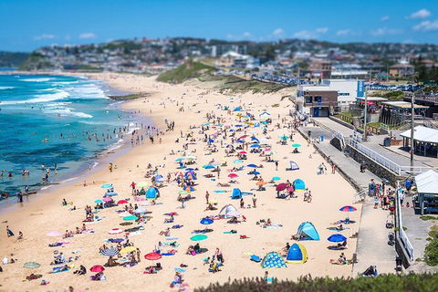 Newcastle Scenic Explorer - 2 Hour Tour By Minibus - Restaurant Gold Coast 6