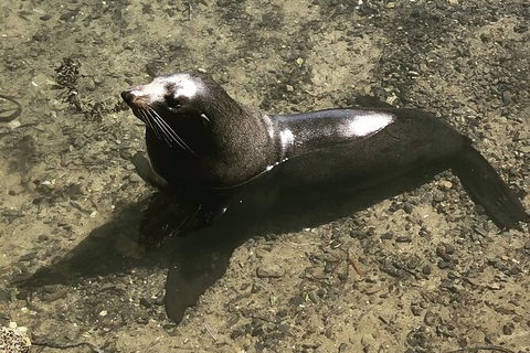South Coast Photography Field Day - Restaurant Gold Coast 5