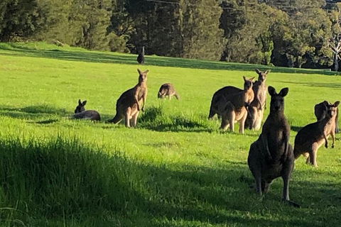 South Coast Photography Field Day - Restaurant Gold Coast 6