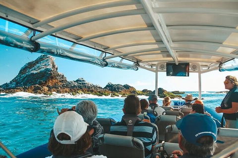 Julian Rocks Byron Bay Cruise - Restaurant Gold Coast 13