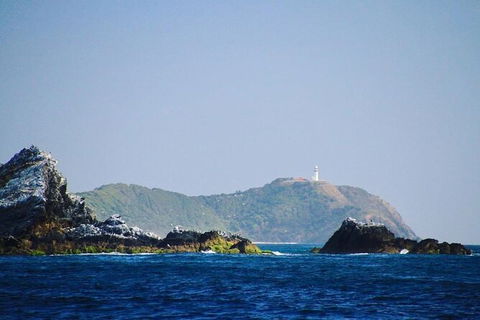 Julian Rocks Byron Bay Cruise - Restaurant Gold Coast 2