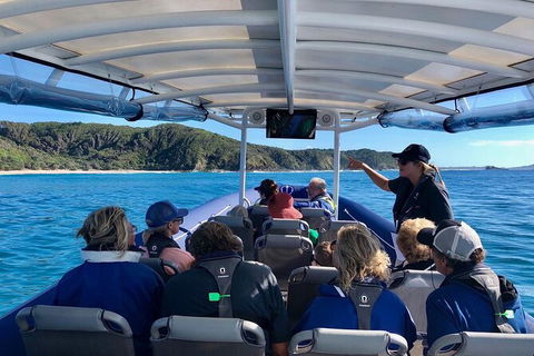 Julian Rocks Byron Bay Cruise - Restaurant Gold Coast 11