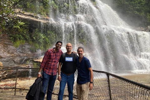 Blue Mountains Highlights & Wildlife Park - Restaurant Gold Coast 4
