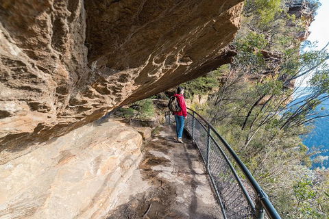 Blue Mountains Highlights & Wildlife Park - Restaurant Gold Coast 0