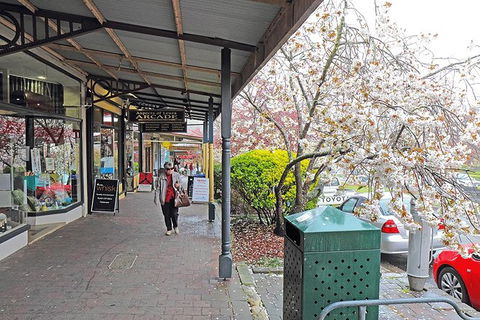 Blue Mountains Highlights & Wildlife Park - Restaurant Gold Coast 2