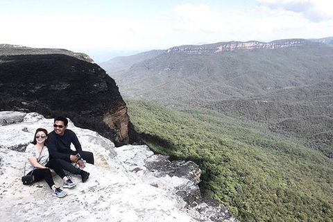 Blue Mountains Highlights & Wildlife Park - Restaurant Gold Coast 5